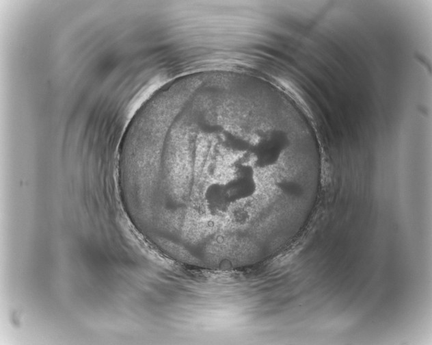 X0000100190899200806271616