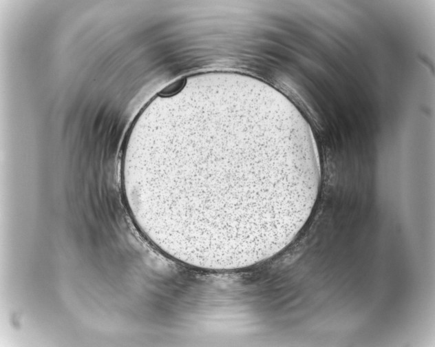 X0000100190900200806271616