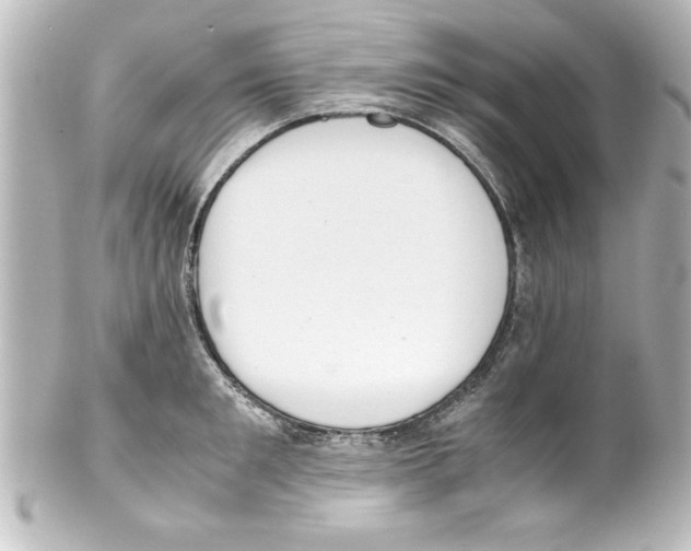 X0000100190901200806271616