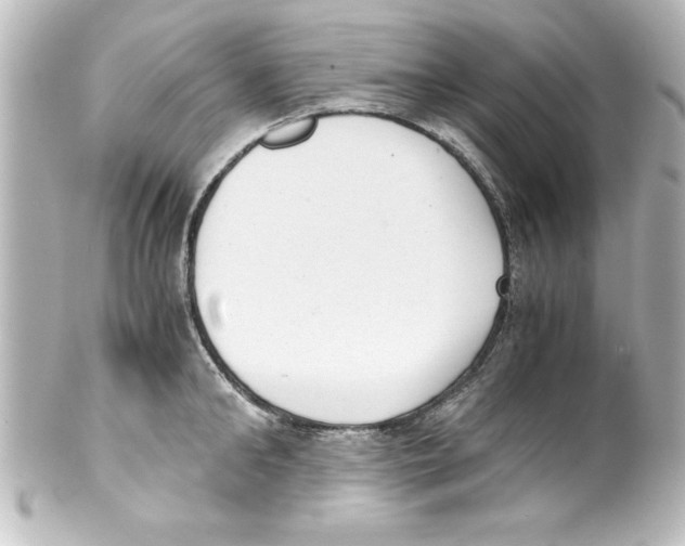 X0000100190902200806271616