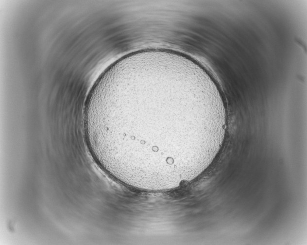 X0000100190903200806271616