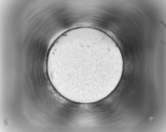 X0000100190904200806271616