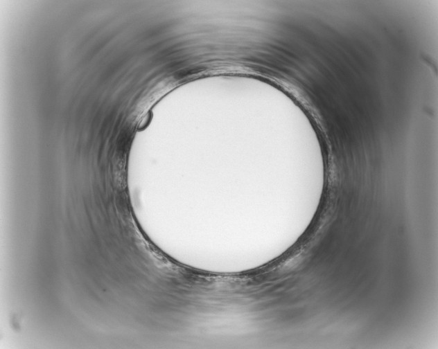 X0000100190905200806271616