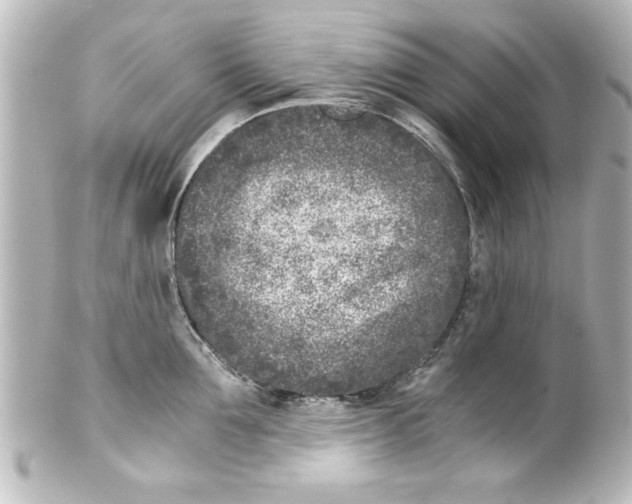 X0000100190907200806271616