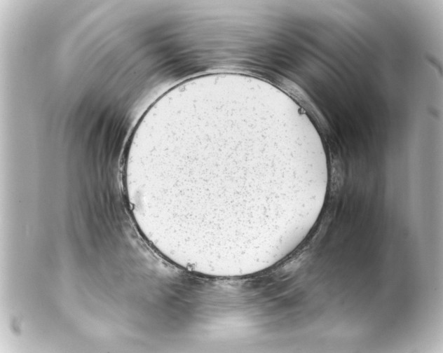 X0000100190908200806271615