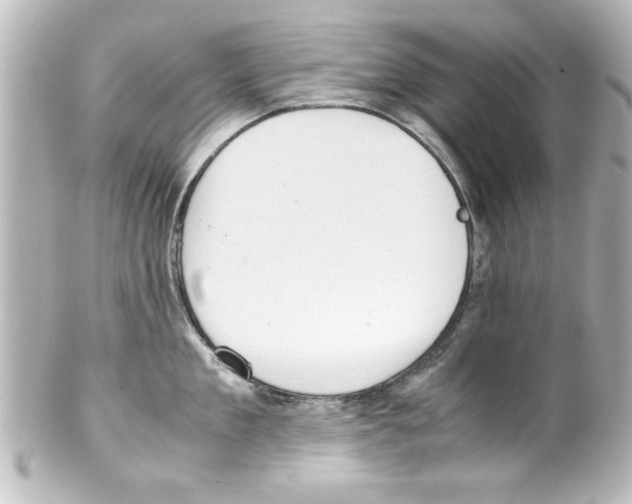 X0000100190909200806271615