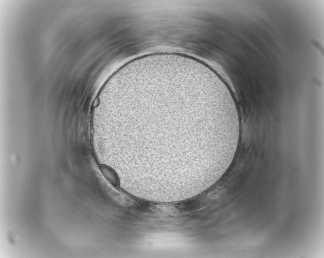 X0000100190911200806271615
