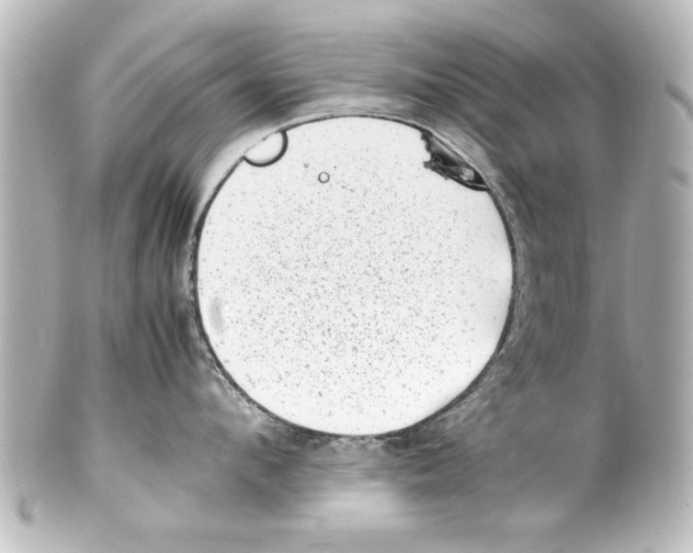 X0000100190912200806271615