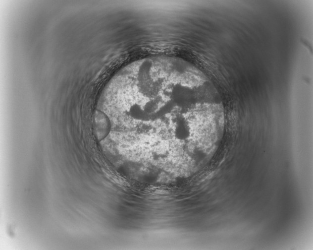 X0000100190913200806271615