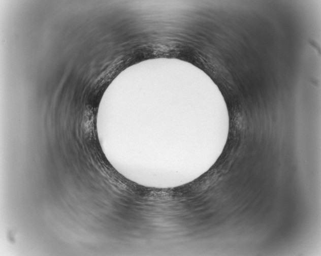 X0000100190914200806271615