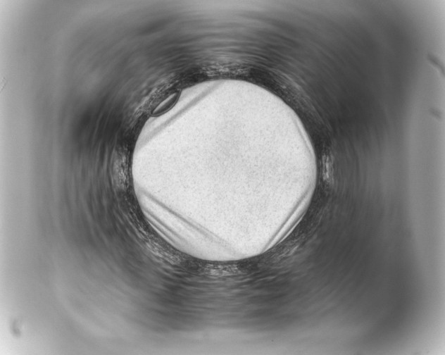 X0000100190915200806271615