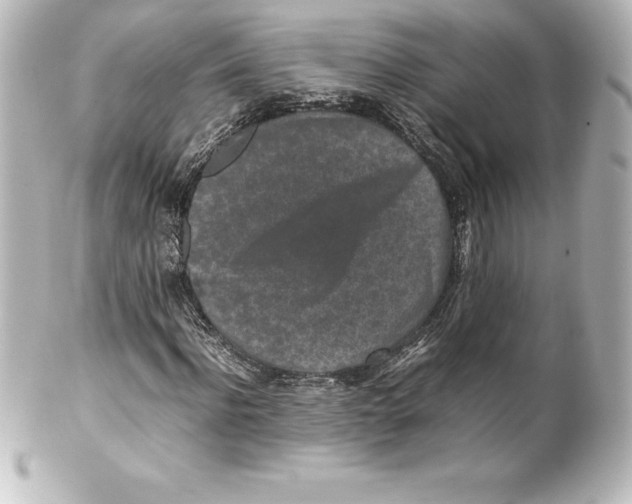 X0000100190916200806271615