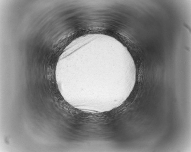 X0000100190917200806271615