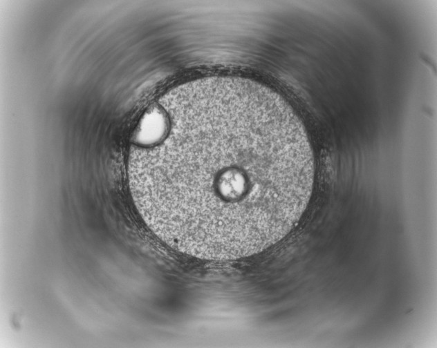 X0000100190918200806271615