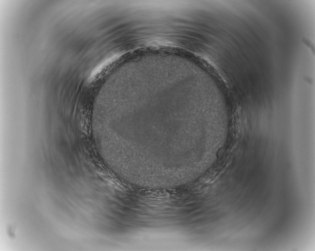 X0000100190919200806271615
