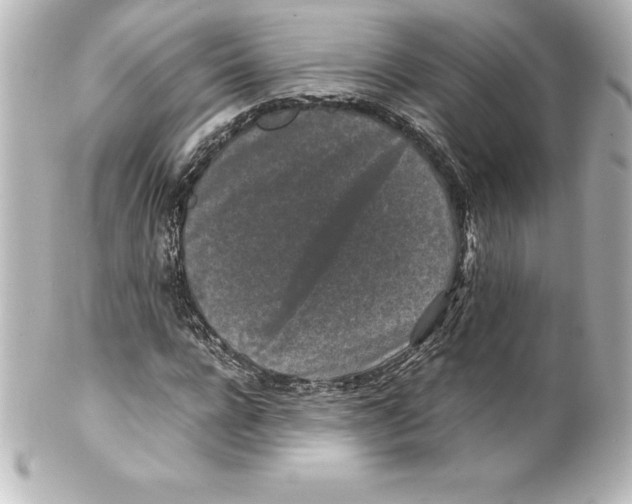 X0000100190920200806271615