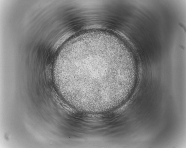 X0000100190921200806271615