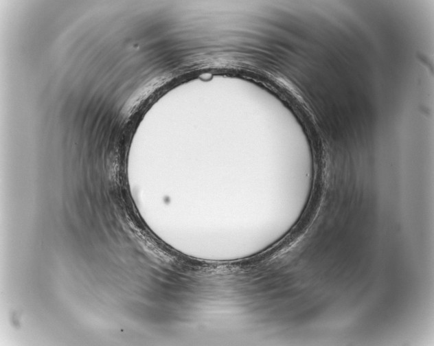 X0000100190922200806271615