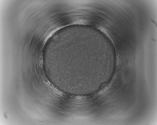 X0000100190923200806271615