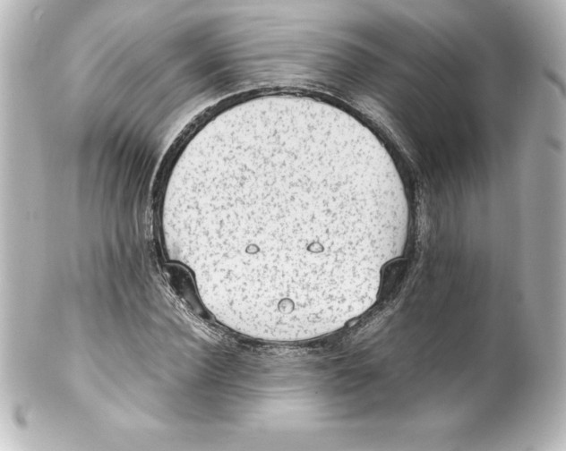 X0000100190924200806271615