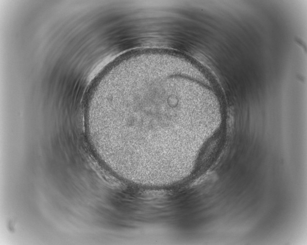 X0000100190925200806271615