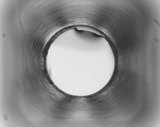X0000100190926200806271615