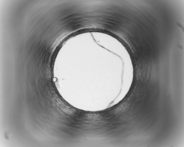 X0000100190927200806271615