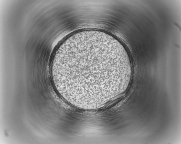 X0000100190928200806271615
