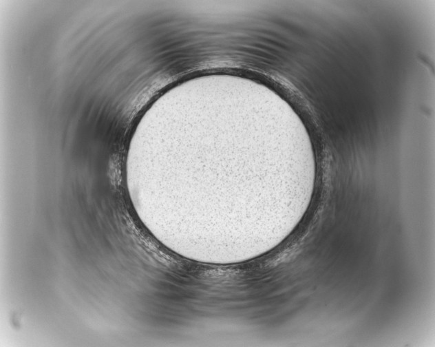 X0000100190929200806271615