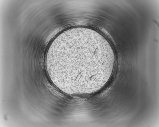 X0000100190930200806271615