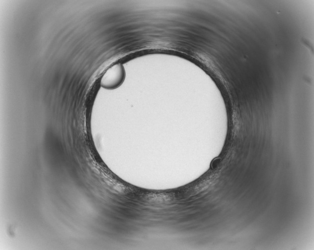 X0000100190931200806271615