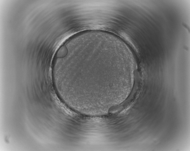 X0000100190932200806271615