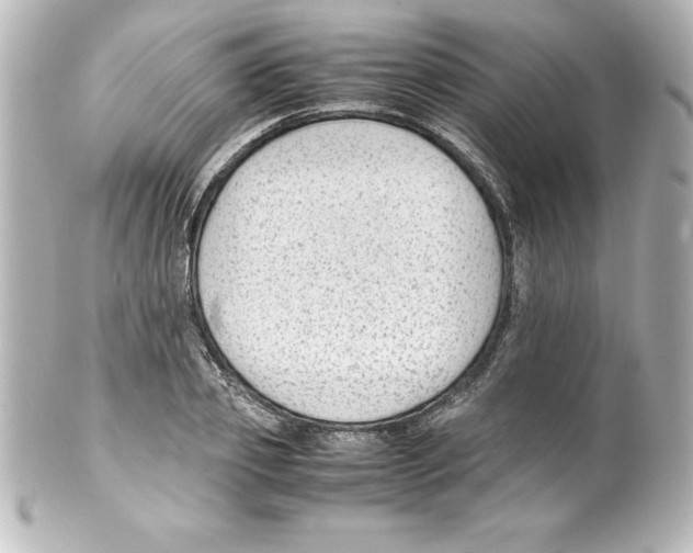 X0000100190933200806271615