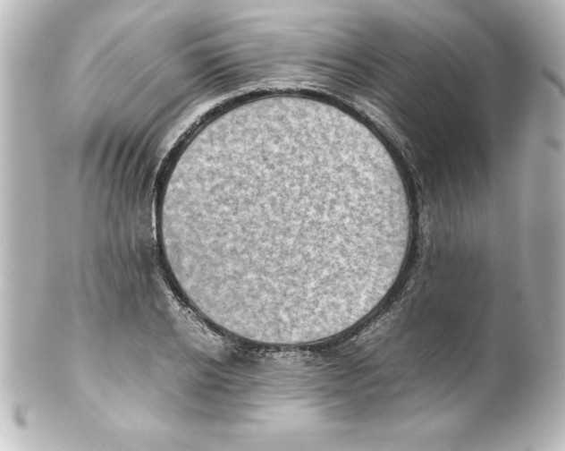 X0000100190934200806271615