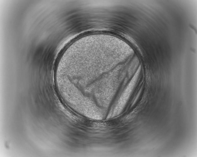 X0000100190935200806271615
