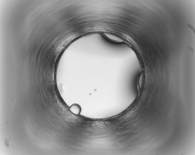 X0000100190938200806271615
