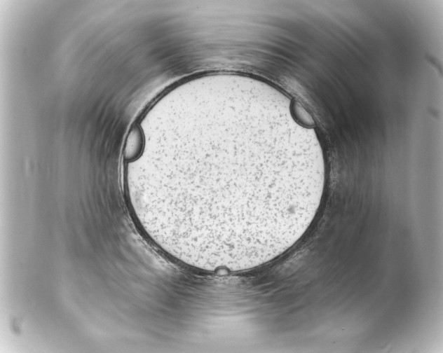 X0000100190940200806271615