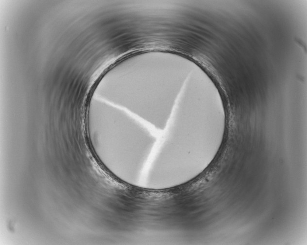 X0000100190941200806271615