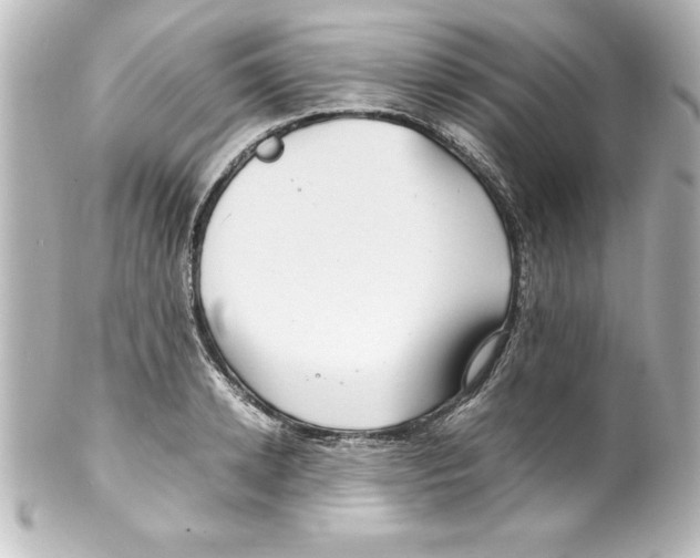 X0000100190942200806271615