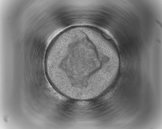 X0000100190943200806271615