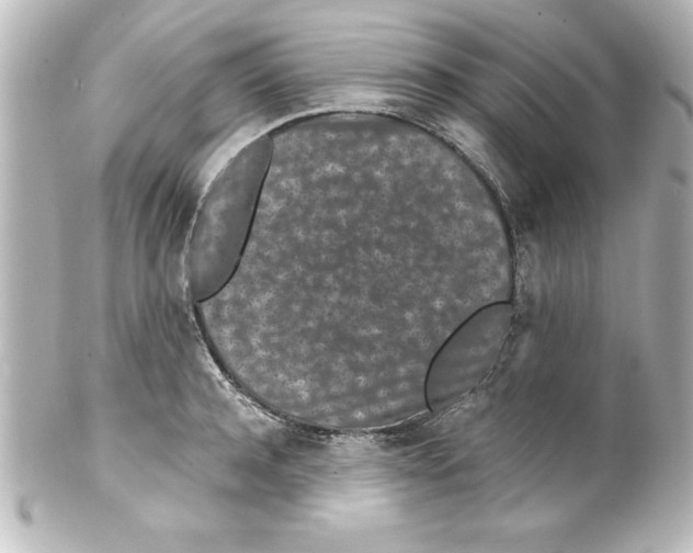X0000100190944200806271615