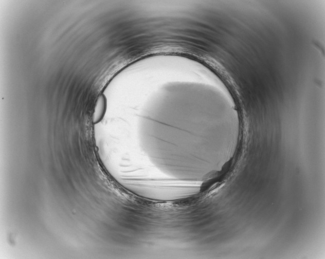 X0000100190945200806271615