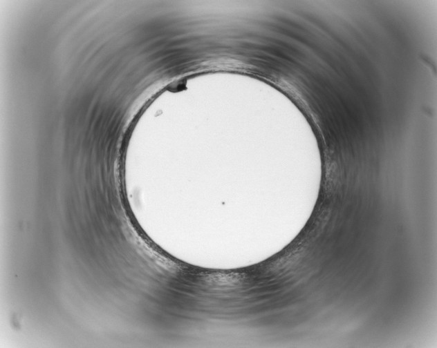 X0000100190947200806271615