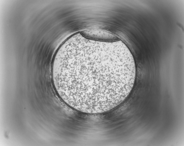 X0000100190948200806271615
