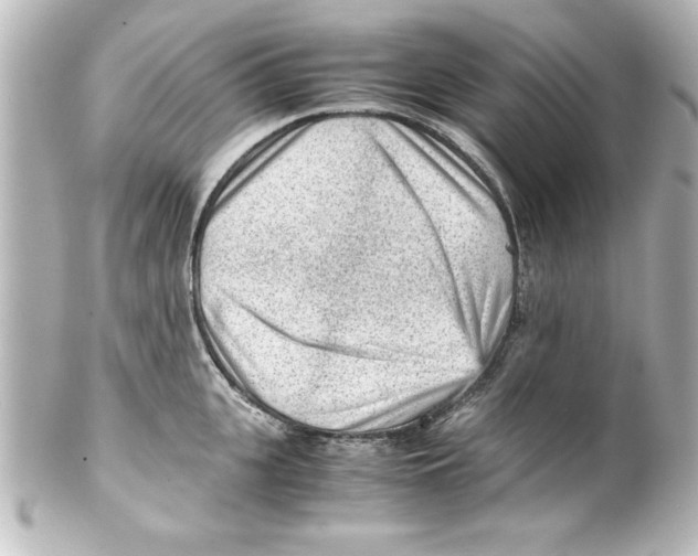 X0000100190951200806271615