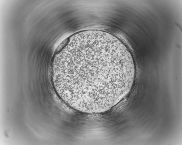 X0000100190952200806271615