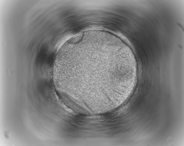 X0000100190953200806271615