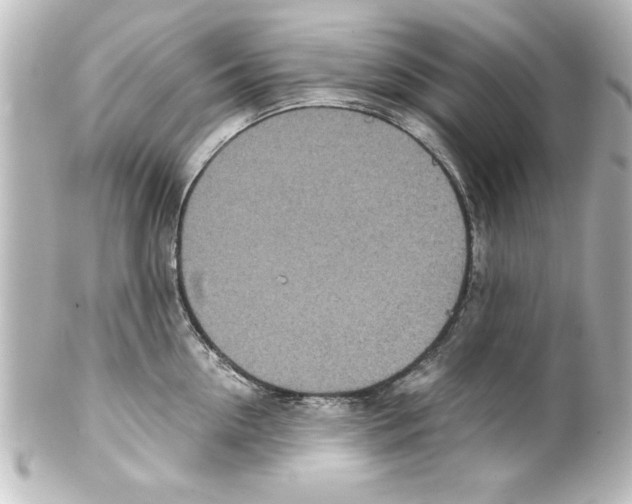 X0000100190954200806271615