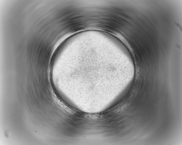 X0000100190955200806271615