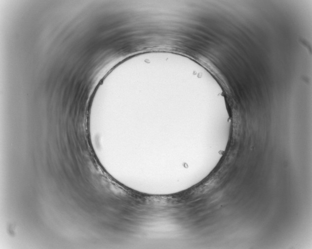 X0000100190956200806271615